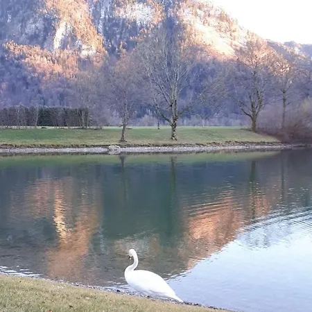 Apartment Am Gaensbach *