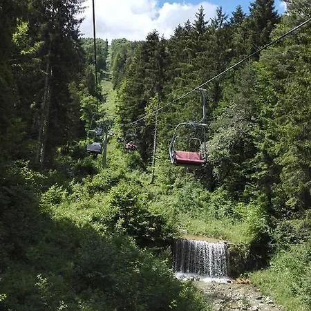 Am Gaensbach * Grassau (Bavaria)