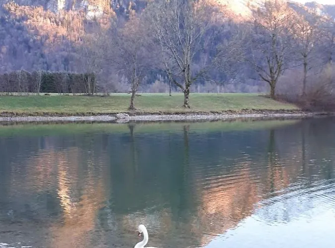 Appartement Am Gaensbach *